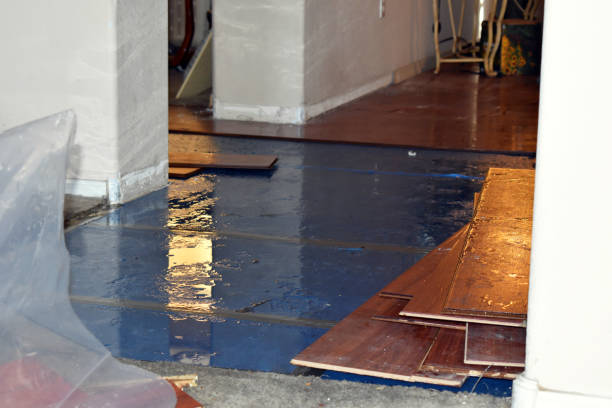 Professional Water Damage Restoration technician working in Lake in the Hills, IL